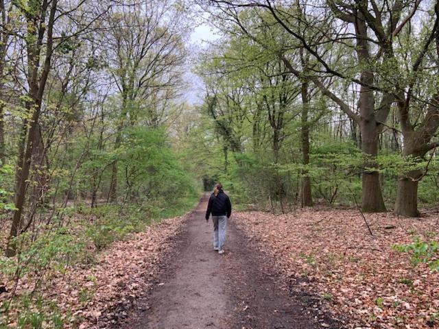 Stacaravan Huren In Het Hart Van Bosrijk Drenthe Op Recreatiepark De Tien Heugten Schoonloo Ngoại thất bức ảnh