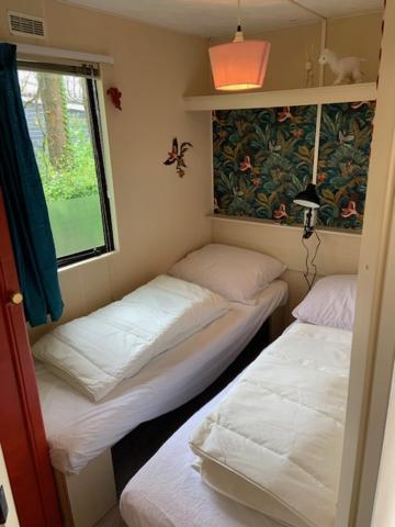 Stacaravan Huren In Het Hart Van Bosrijk Drenthe Op Recreatiepark De Tien Heugten Schoonloo Ngoại thất bức ảnh
