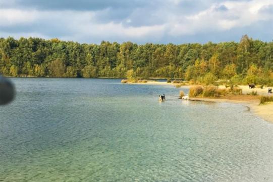 Stacaravan Huren In Het Hart Van Bosrijk Drenthe Op Recreatiepark De Tien Heugten Schoonloo Ngoại thất bức ảnh